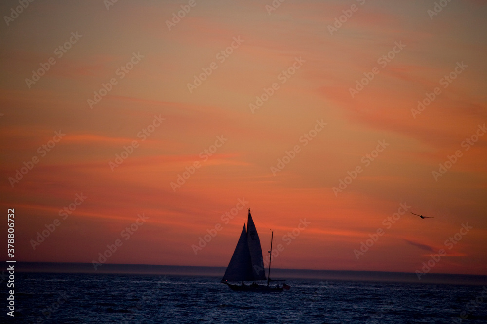 Sailboat in the sea, Santa Monica, Los Angeles County, California, USA