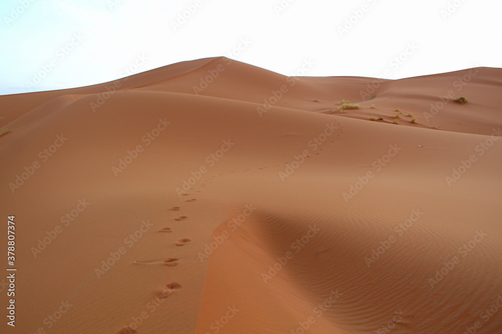 Fototapeta Dunes of Merzouga desert, Morocco