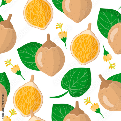 Vector cartoon seamless pattern with Matisia cordata or Chupa-chupa exotic fruits, flowers and leafs on white background photo