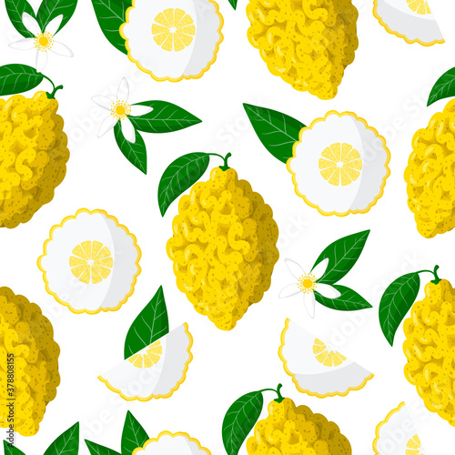 Vector cartoon seamless pattern with Citrus medica or Citron exotic fruits, flowers and leafs on white background