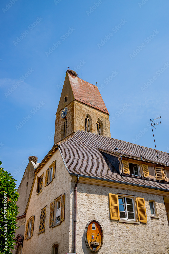 Obraz premium Nid de Cigogne en Alsace