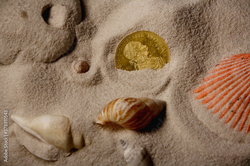 Close-up of coin and shells partially buried in sand