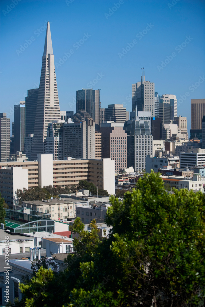 Skyscrapers in a city, Transamerica Pyramid, San Francisco, California, USA