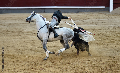 toreo a caballo en españa © alberto