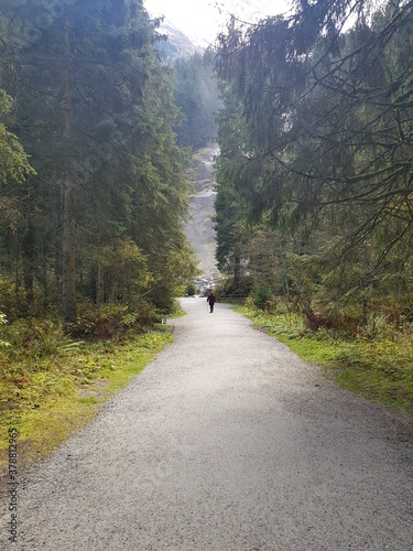 trail in the mountains