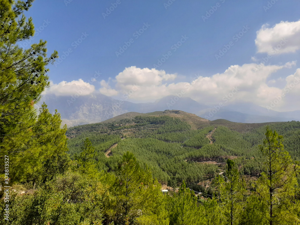 Mountain landscape with green forests, valley, blue sky and white clouds