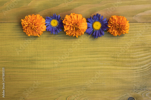 Image of beautiful flowers on wooden background. 
