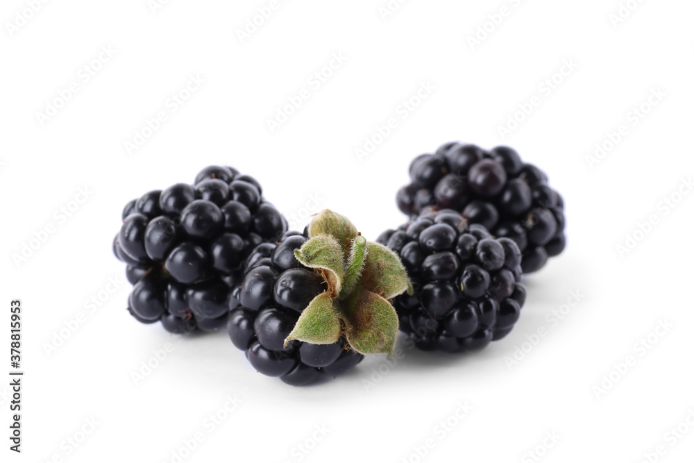 Delicious fresh ripe blackberries isolated on white Delicious fresh ripe blackberries isolated on white