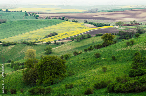 Rural spring landscape