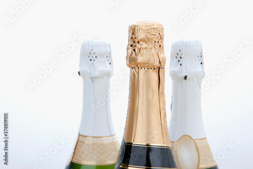 Close-up of champagne bottles photo