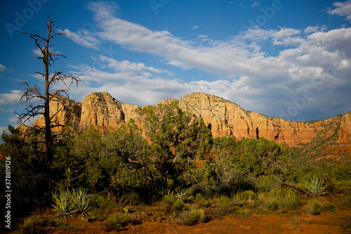 Rock formations on a landscape, Sedona, Arizona, USA