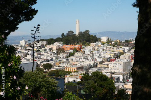 Buildings in a city, Coit Tower, San Francisco, California, USA