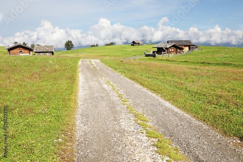 Dirt road in Seiser Alm, plateau of italian Alps photo