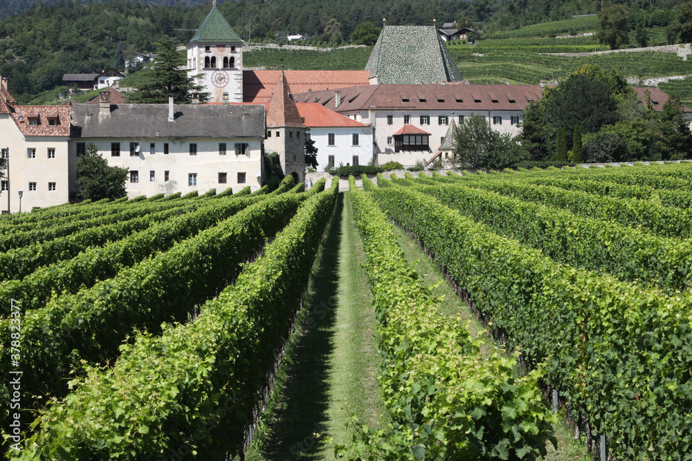 Vineyards and Novacella abbey in South Tyrol, Italy