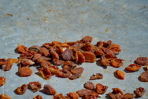 Fototapeta Naklejka Na Ścianę i Meble -  close-up drying apricots in the sun