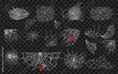 Halloween monochrome spider web and spiders isolated on black background. Hector venom cobweb set. Vector illustration