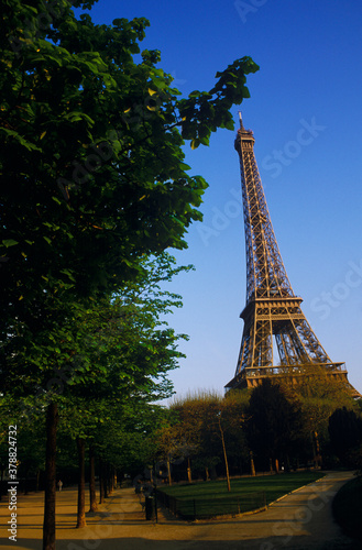 Trees in front of a tower, Eiffel Tower, Paris, France  © VisualEyze
