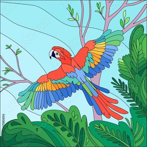 Tropical Bird Parrot Composition