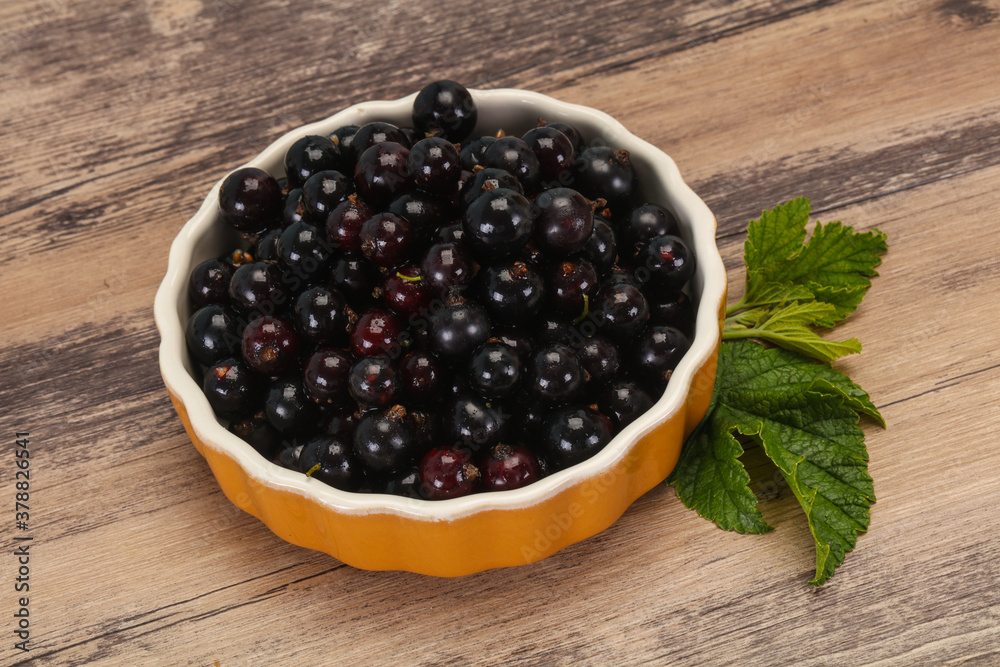 Fresh ripe sweet black currant Fresh ripe sweet black currant