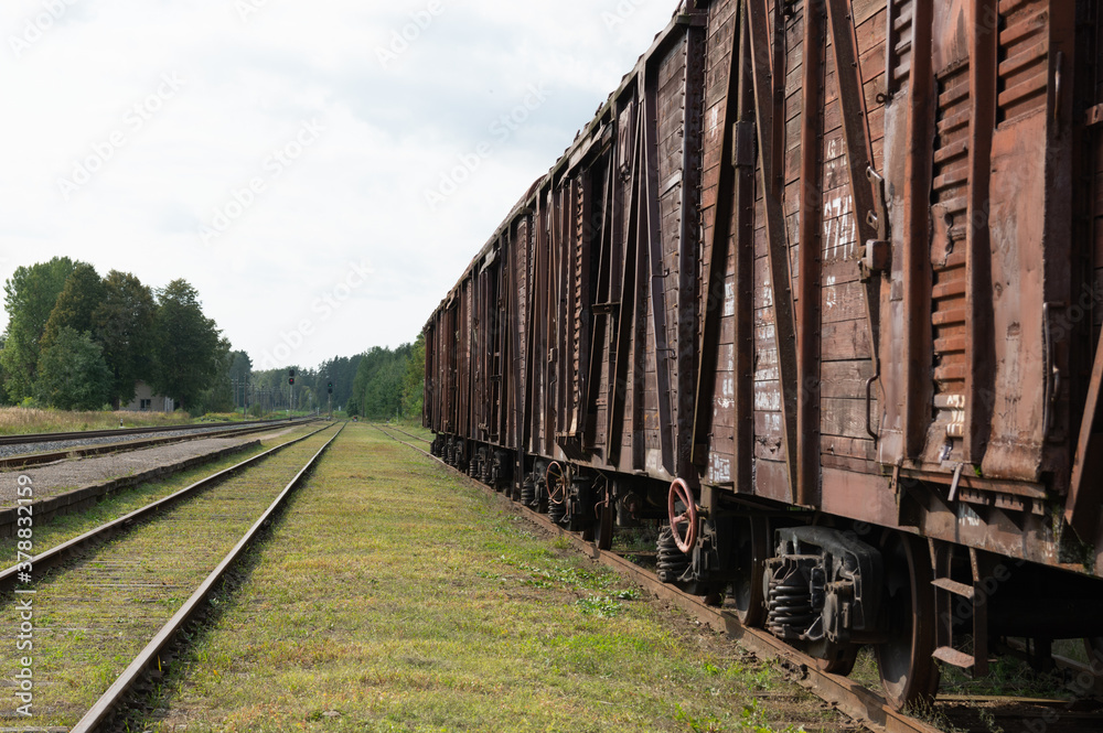 Obraz premium Railroad scene with cargo train.