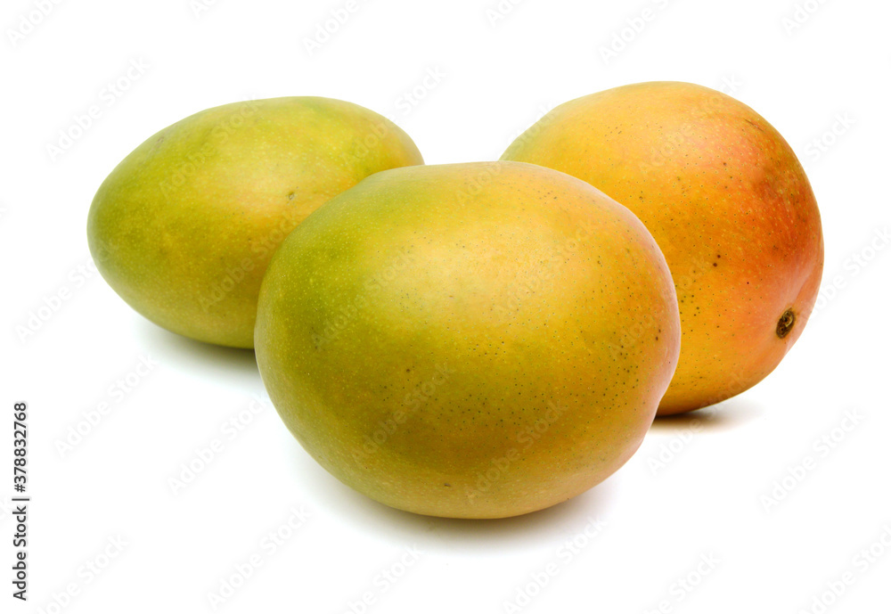 Mango fruits isolated on white background