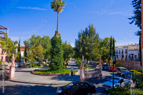 Trees in a park, Zacatecas, Mexico