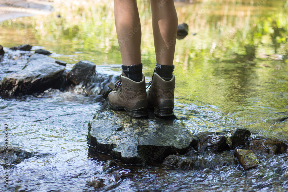 walking in the water walking in the water