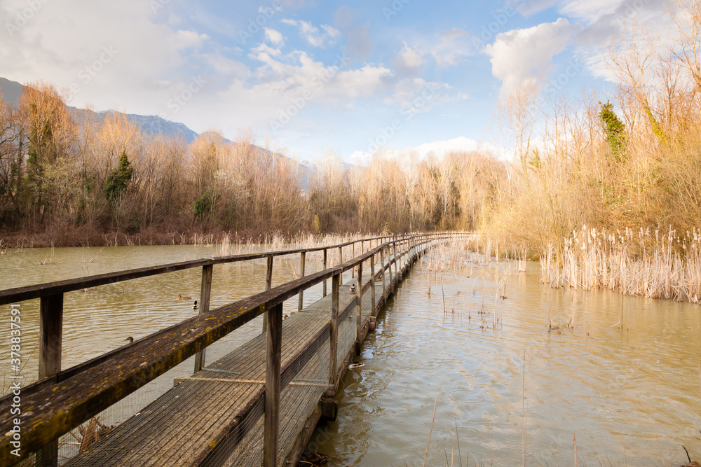 Old wood footbridge on lagoon, rural landscape Old wood footbridge on lagoon, rural landscape