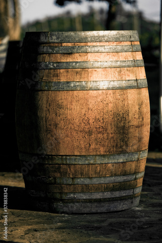 Barrel in a vineyard, Napa Valley, California, USA