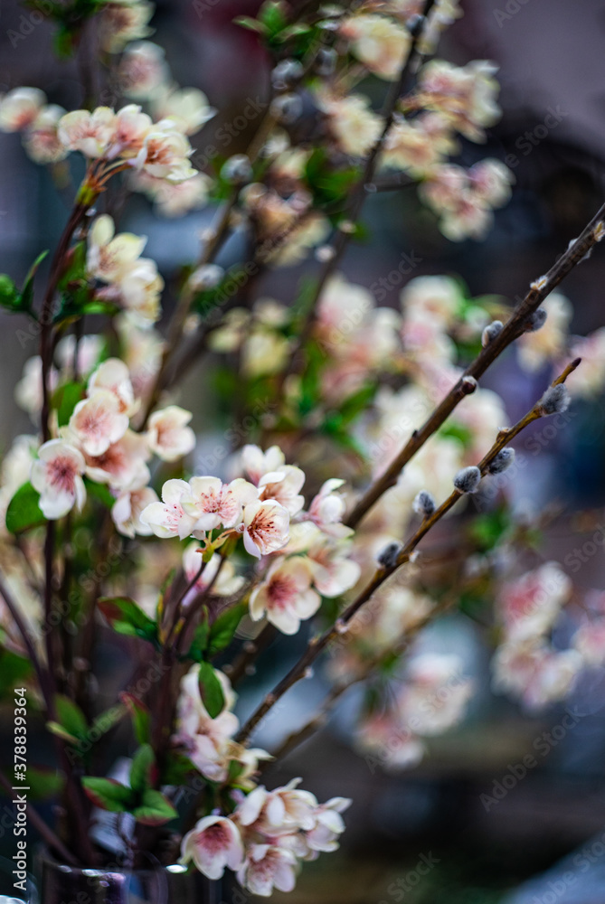 Beautiful flowers in interior Beautiful flowers in interior