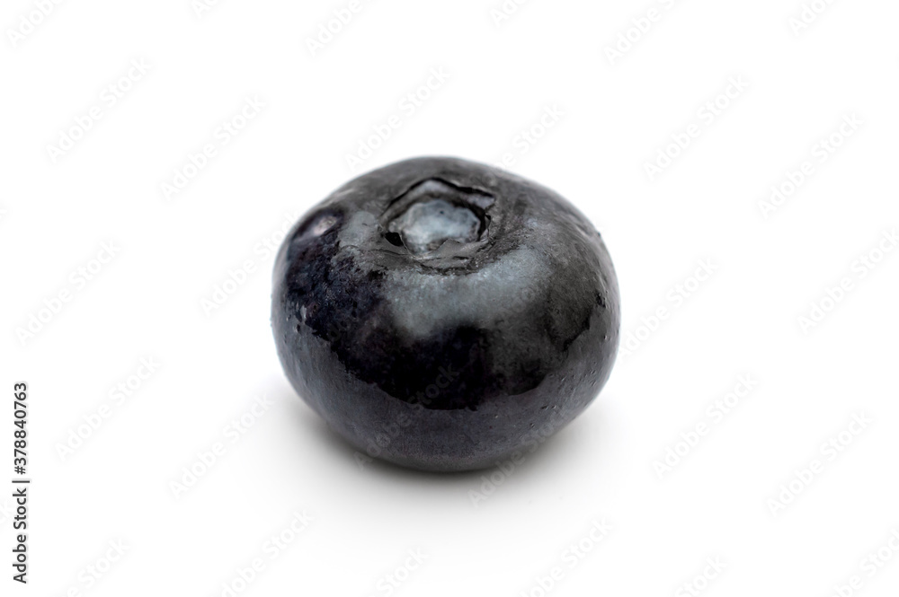 Single blueberry isolated on white background. Close up. Single blueberry isolated on white background. Close up.