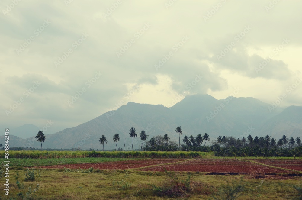Obraz premium landscape with clouds and fog