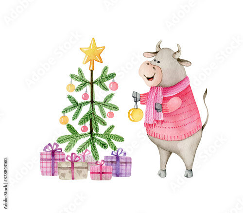 Cute bull dressed in red knitted sweater and scarf decorates Christmas tree. Watercolor illustration isolated on white. © Elena