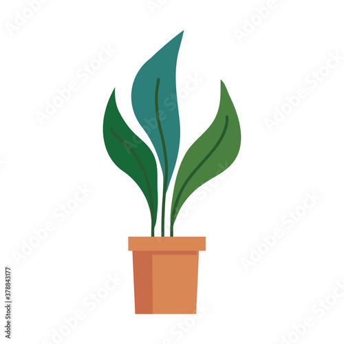 Plant inside pot design of Floral nature garden ornament botany decoration beauty and flora theme Vector illustration