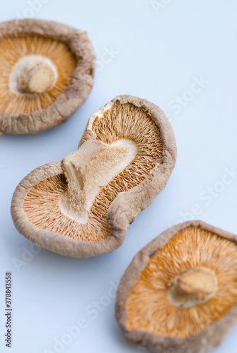 High angle view of dry mushrooms