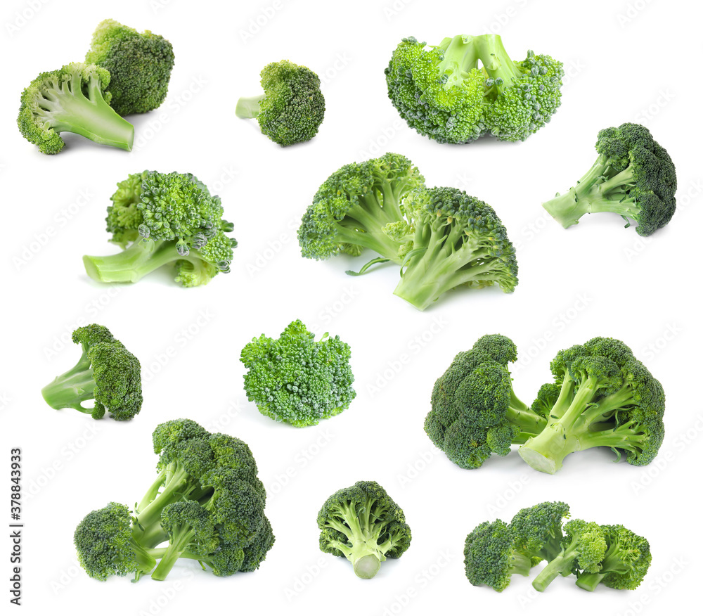 Set of fresh green broccoli on white background Set of fresh green broccoli on white background