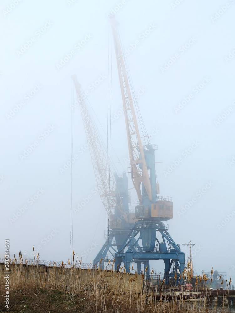 Harbor crane. Two old rusty cranes in an industrial port in the fog.