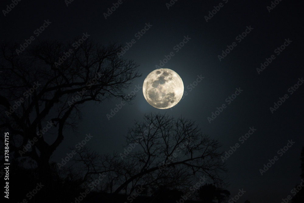 Lua Cheia Lua Cheia
