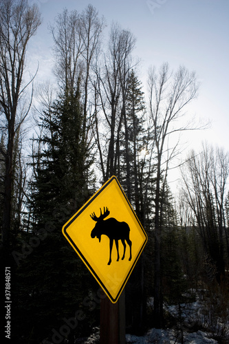 Moose warning signboard in a forest, Grand Teton National Park, Wyoming, USA