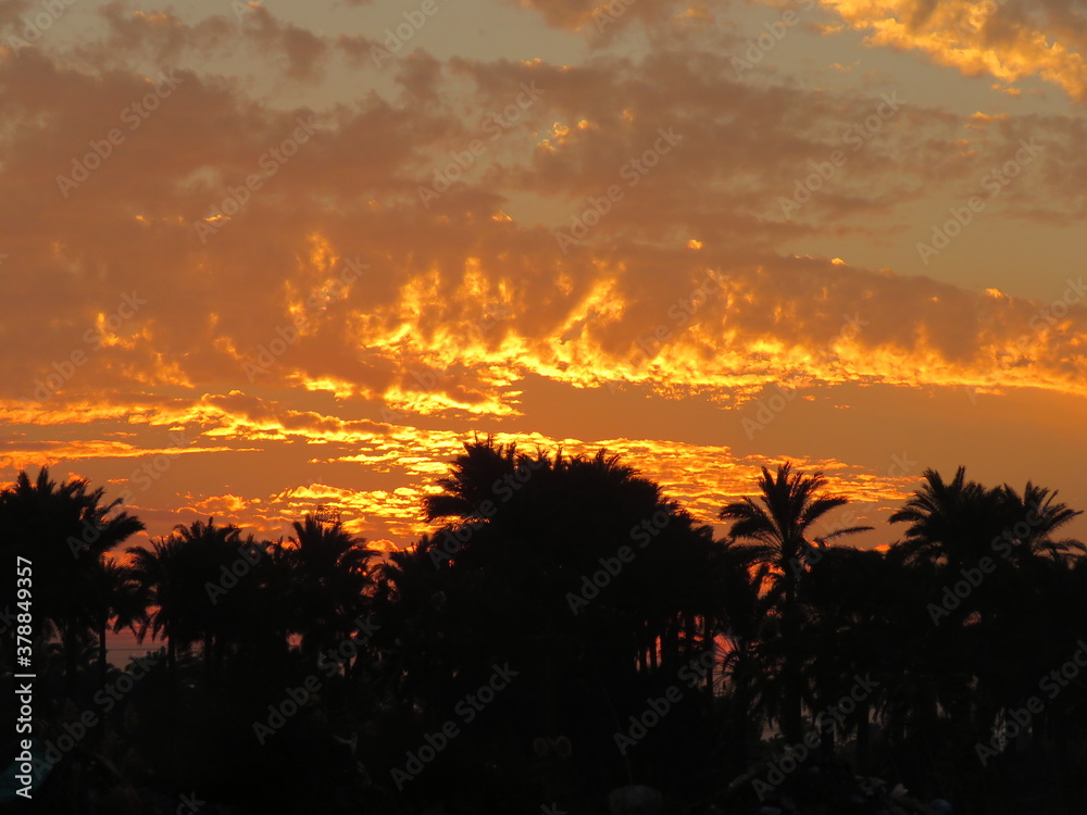 sunset sunset