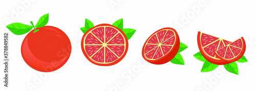 Grapefruit slice, pink, coral, set of variations, vector graphics, set of variations segmented on a white background.