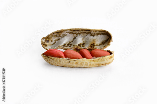 Isolated peanuts shell containing peanuts seeds in white background