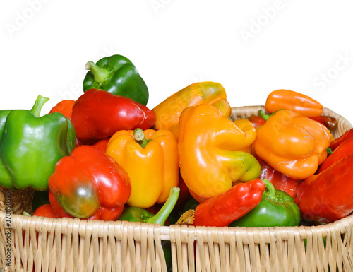 fresh green, red and yellow paprika in basket isolated on white