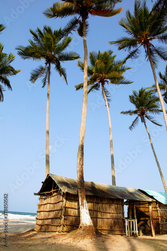 Beach huts with palm trees on the beach