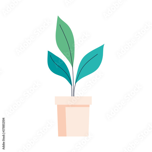 Plant inside pot design of Floral nature garden ornament botany decoration beauty and flora theme Vector illustration