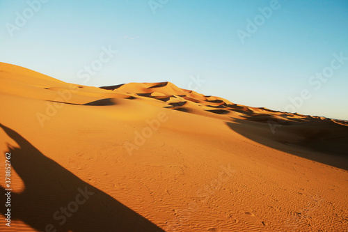Sand dunes in a desert  Morocco