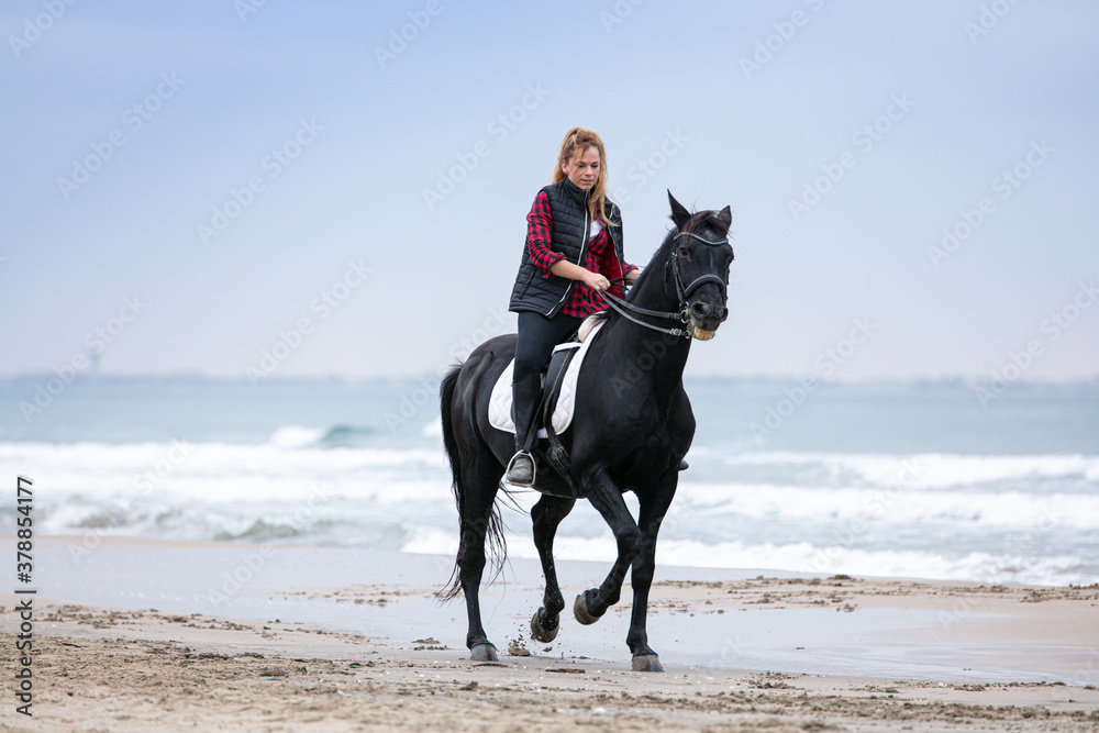 young woman on a horse on the beach