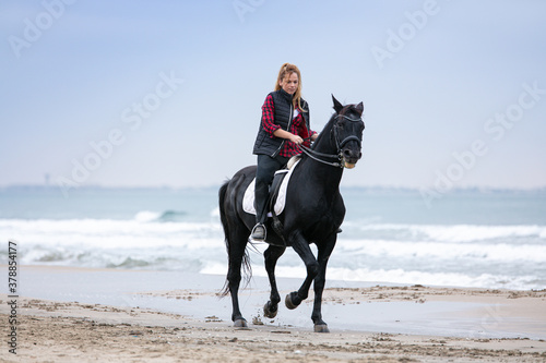 young woman on a horse on the beach © emmapeel34