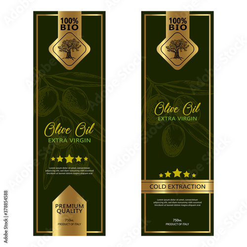 Olive oil labels collection. Hand drawn vector illustration templates for olive oil packaging