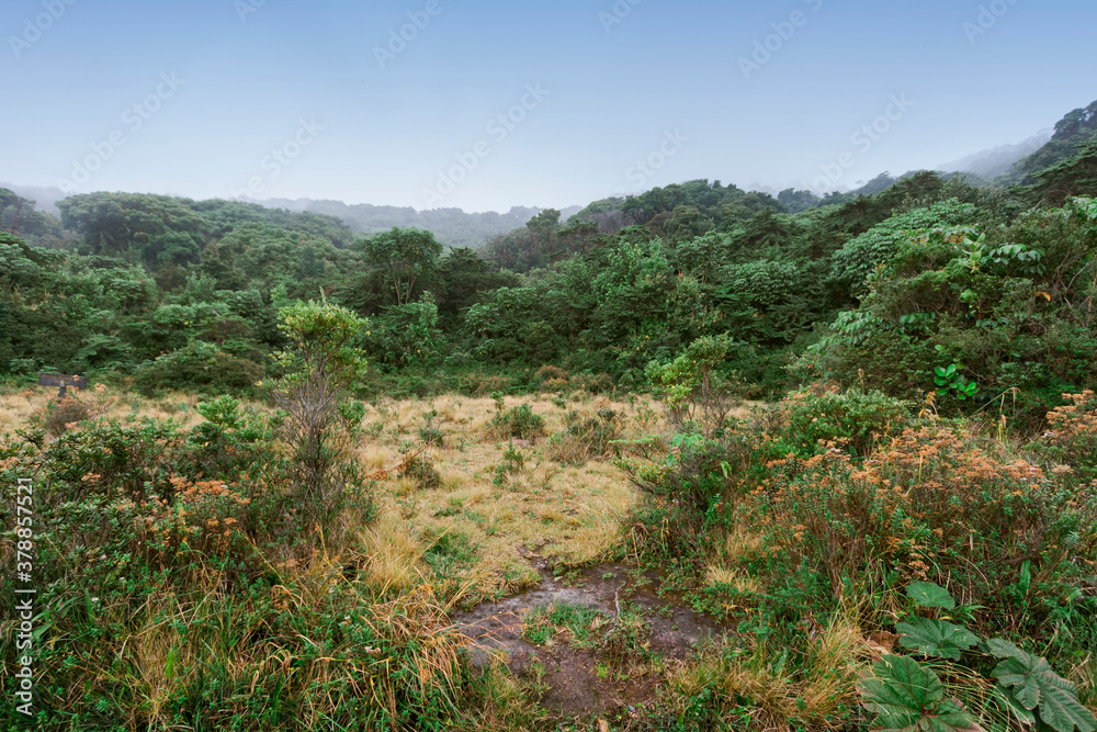 Landscape in Poas Volcano National Park